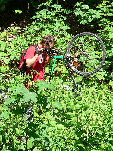 An der Quelle des weissen Kocher
