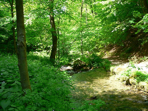 weisser Kocher